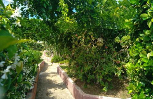 Le Râteau Bavoir - Foto 20