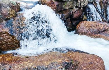 El Robledillo - Foto 23