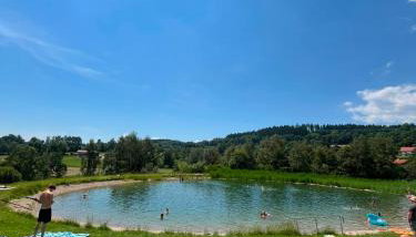 Bergzauber Bayerwald - voll ausgestattetes Familienapartment mit Pool - Foto 4