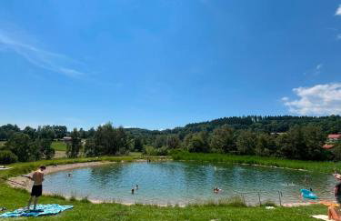 Bergzauber Bayerwald - voll ausgestattetes Familienapartment mit Pool - Foto 4