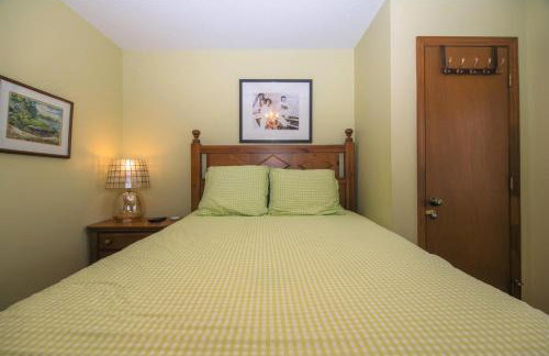 Green Parrot - Foto 21