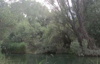 Luz de Carboneras - Foto 61