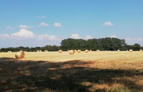 Ferienwohnung Beans - Photo 7