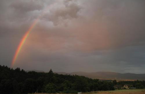 Przewietrzona Głowa - Foto 16