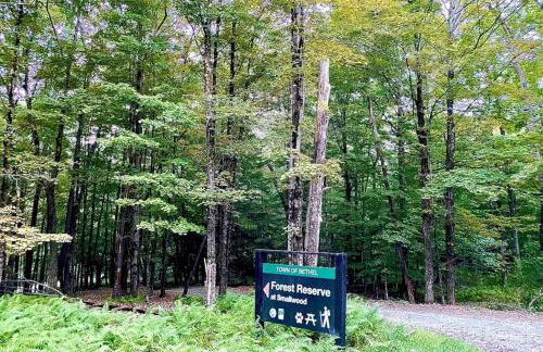 renovatedhot tublake accesspedal boatcozychic - Foto 22