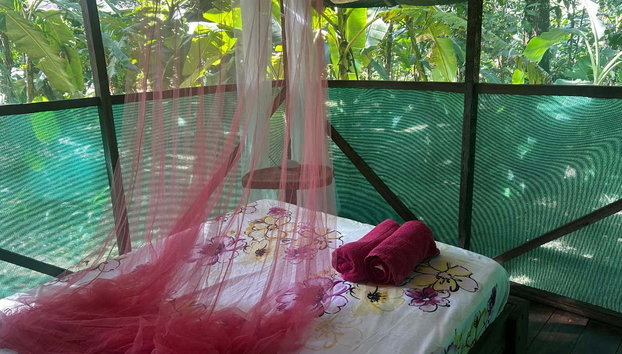 1 or 2-Day Tour of Río Agujitas Farm - Photo 4, Spend the night in the jungle