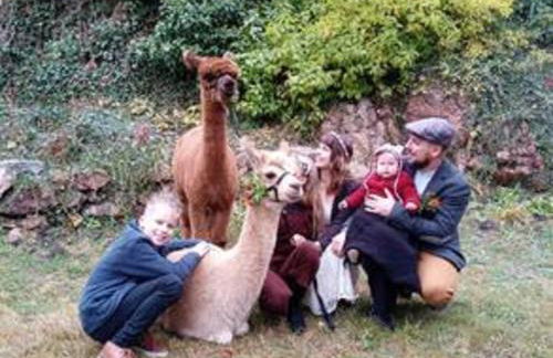 Ferienhaus Alpaka Glück - Foto 50