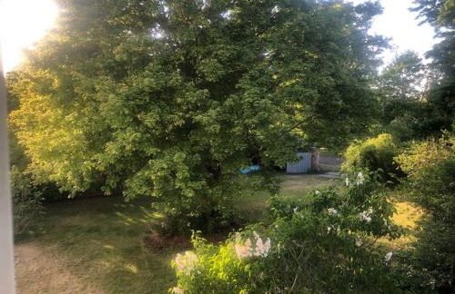 Bruderhof - Retreats & Ferien am See nahe Berlin - Foto 16