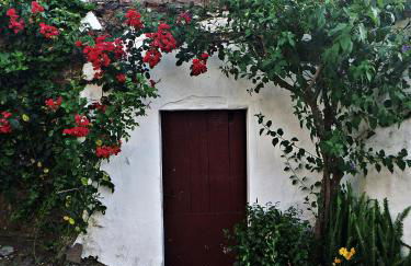 Casa do Avô Tó - Foto 46