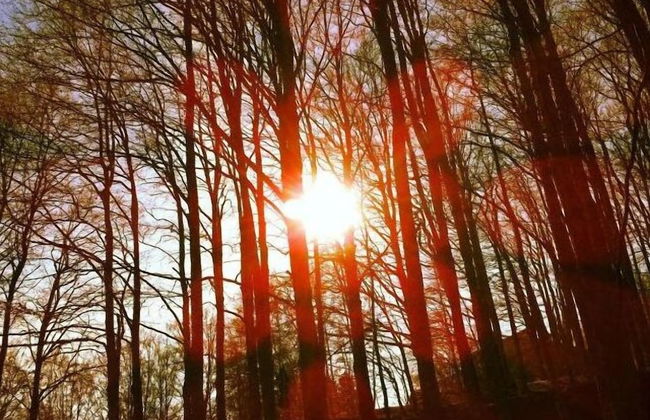 B&B da Ronald...a Pian del Papa - Foto 46