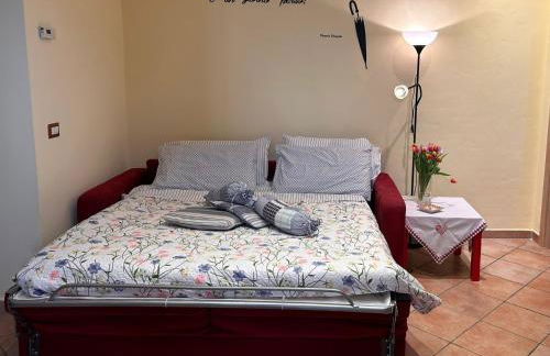 i tulipani - Foto 34