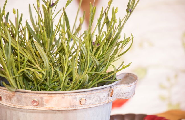 Ferienparadies Reifnhof - Foto 35