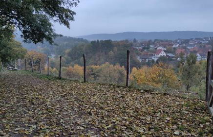 Ferienhaus Landblick - Foto 37
