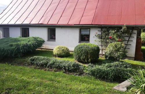 Agroturystyka Zielony Zakątek - Foto 33