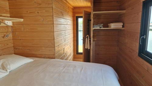 Bateau panoramique sans permis Lac du Der - Nemours - Foto 5