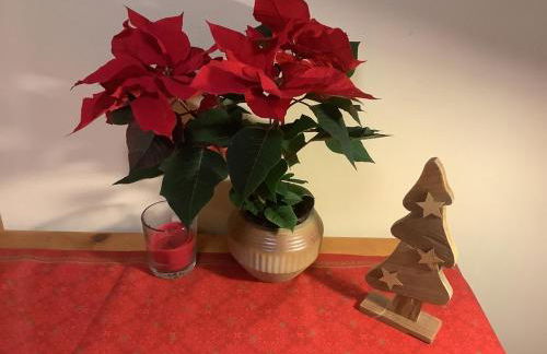 Blumenhaus - Foto 28