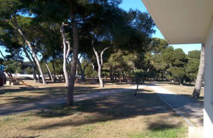 APARTAMENTO TURISTICO ELCANO - Photo 25