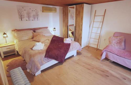 Apartman Cottage house Brest(Buzet) i ugodan odmor - Foto 52