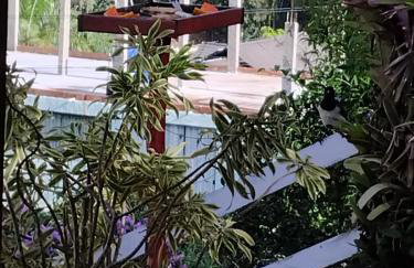 Casa de Campo em Teresópolis - Foto 2
