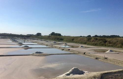 Fleur de Sel, longère au calme , proche mer et plages - Foto 18