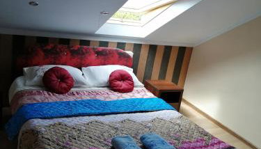 Agroturystyka Nowogród - Foto 4