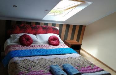 Agroturystyka Nowogród - Foto 4