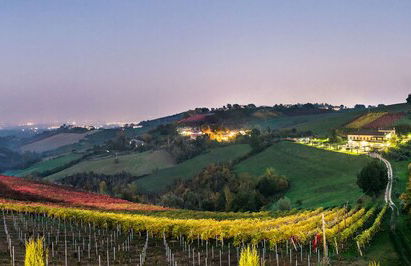 Agriturismo Acetaia Sereni - Foto 22