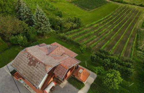 Ruralna kuća za odmor CVEPUK - Foto 21
