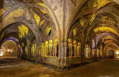 Entre mer et garrigue - Foto 69