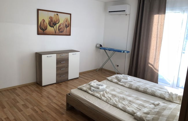 Sahara Falcon - Foto 16