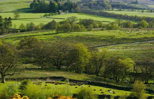 Exceptional Grade II Listed Church Conversion - Foto 27