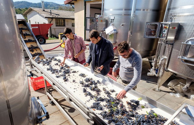 Agriturismo Tenuta San Jacopo - Foto 69