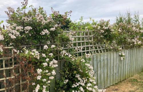 Seaview bungalow - Foto 4