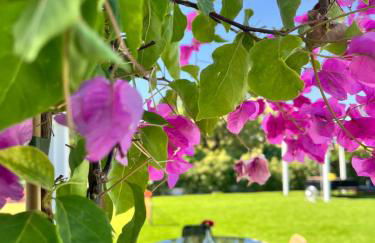 Villa Ikal - Foto 20