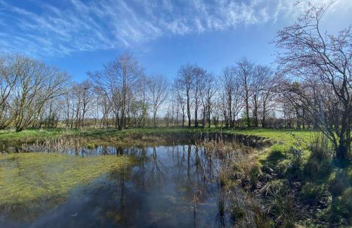 Haus Lichtblick - Foto 37