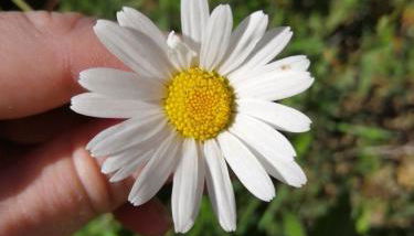 AGRITURISMO MASO PERTENER -adults friendly- - Foto 3