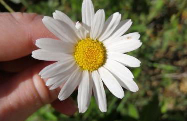 AGRITURISMO MASO PERTENER -adults friendly- - Foto 3