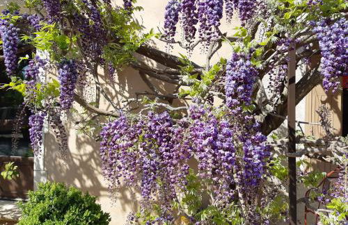 Cherche Midi - Foto 21