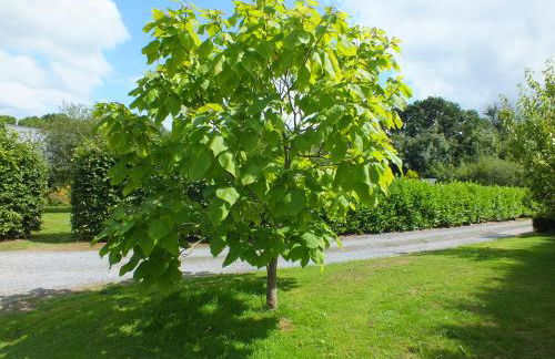 The Potting Shed And The Garden Shed Self Catering - Photo 34