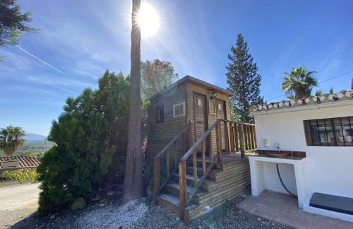 LAS PALMERAS - Foto 53