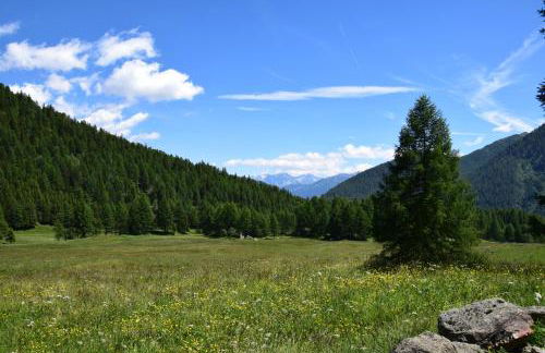 Casa Bamby - Foto 69