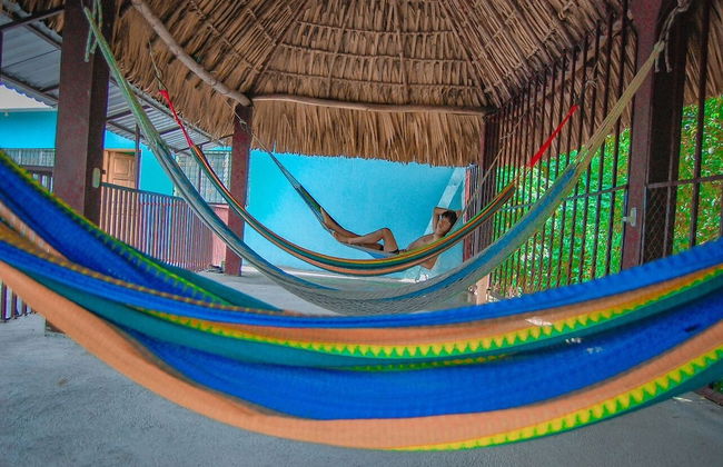 Pacific Paradise - Photo 3