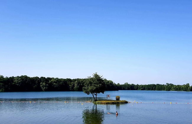 Les Voiles de Laives - Foto 12