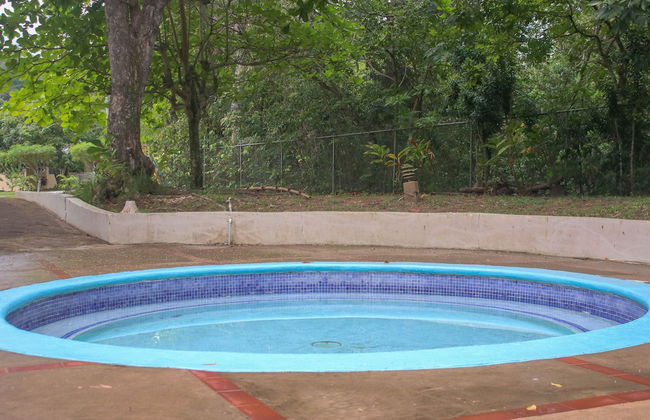 The Blue Mahoe Treehouse - Photo 25