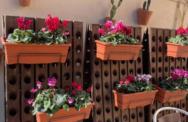 CASA DE LA BODEGA - Foto 6