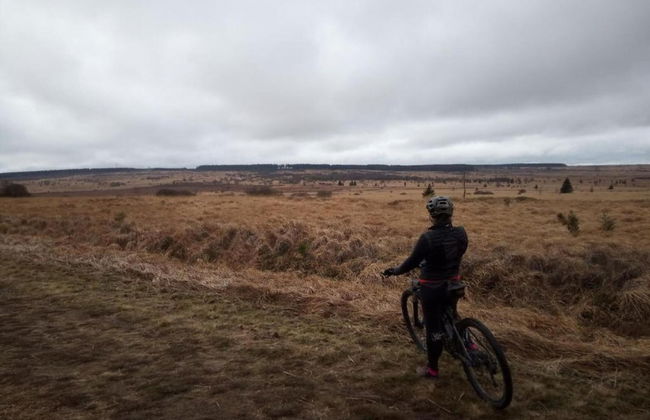 Opulent Holiday Home in Spa with Sauna, Hot Tub, Playroom - Photo 40