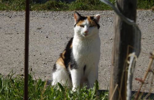 Landhaus Brockhaus - Foto 26