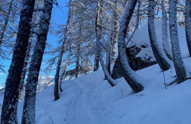 Les Mélèzes 1 Studio - Foto 20