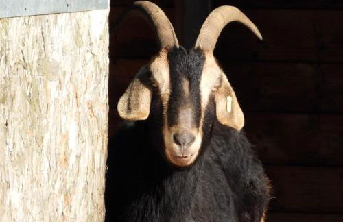 Rolling Mill, Wolds Way Holiday Cottages, 2 Bed, 1st floor - Foto 27