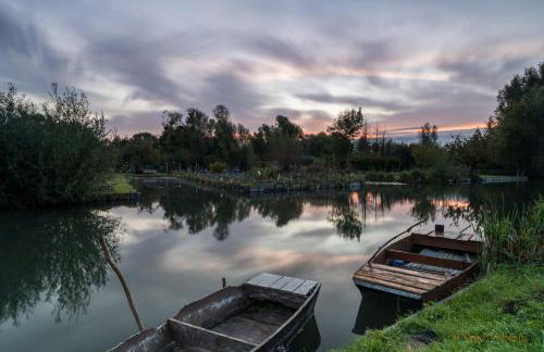 Petite maison, quartier calme. - Foto 15
